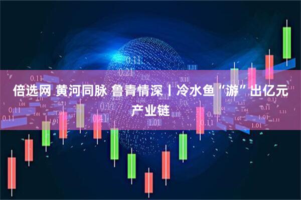 倍选网 黄河同脉 鲁青情深丨冷水鱼“游”出亿元产业链