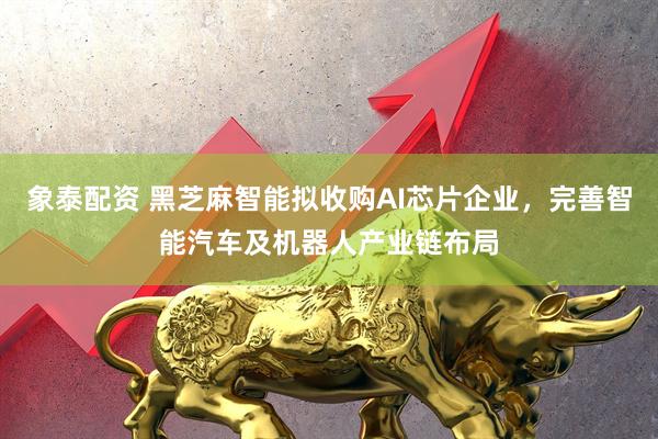 象泰配资 黑芝麻智能拟收购AI芯片企业，完善智能汽车及机器人产业链布局