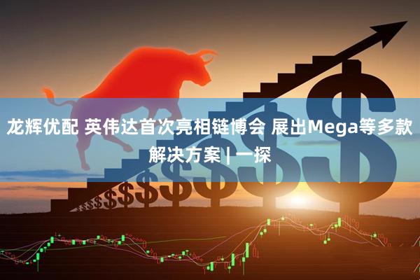 龙辉优配 英伟达首次亮相链博会 展出Mega等多款解决方案 | 一探