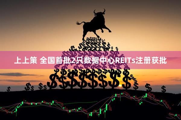 上上策 全国首批2只数据中心REITs注册获批