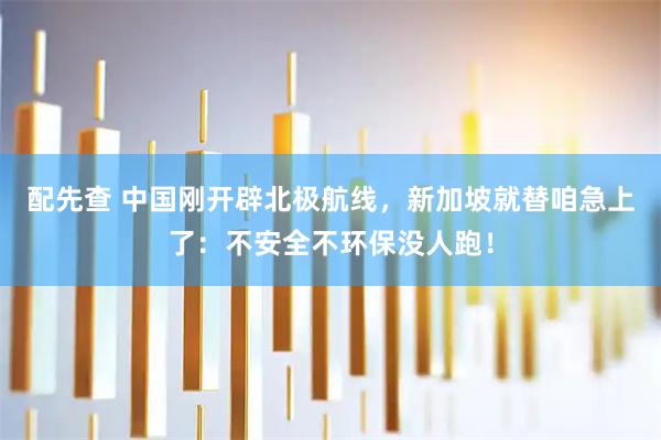 配先查 中国刚开辟北极航线,新加坡就替咱急上了:不安全不环保没人跑!