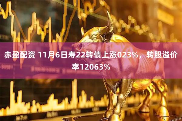 赤盈配资 11月6日寿22转债上涨023%，转股溢价率12063%