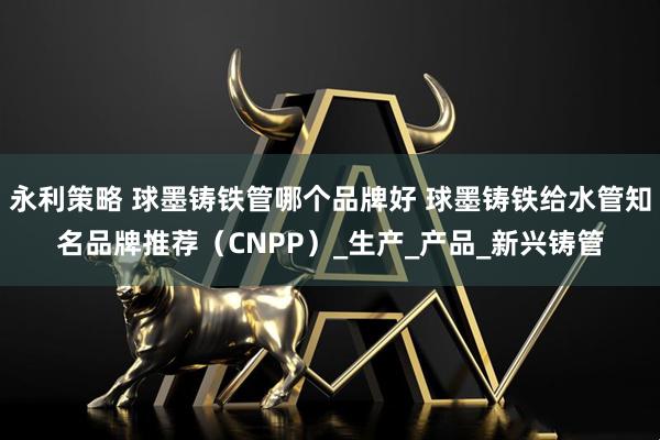 永利策略 球墨铸铁管哪个品牌好 球墨铸铁给水管知名品牌推荐(CNPP)_生产_产品_新兴铸管