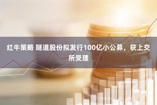 红牛策略 隧道股份拟发行100亿小公募，获上交所受理