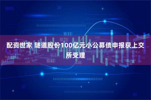 配资世家 隧道股份100亿元小公募债申报获上交所受理